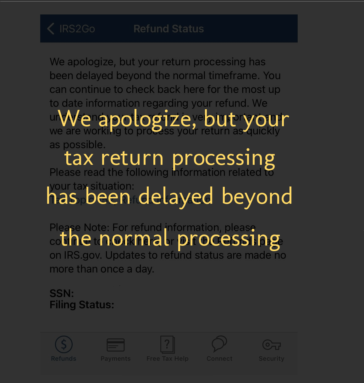 Tax Return processing has been delayed beyond the normal timeframe ⋆