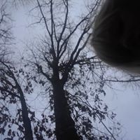 Profile picture of Carol Miller Newman